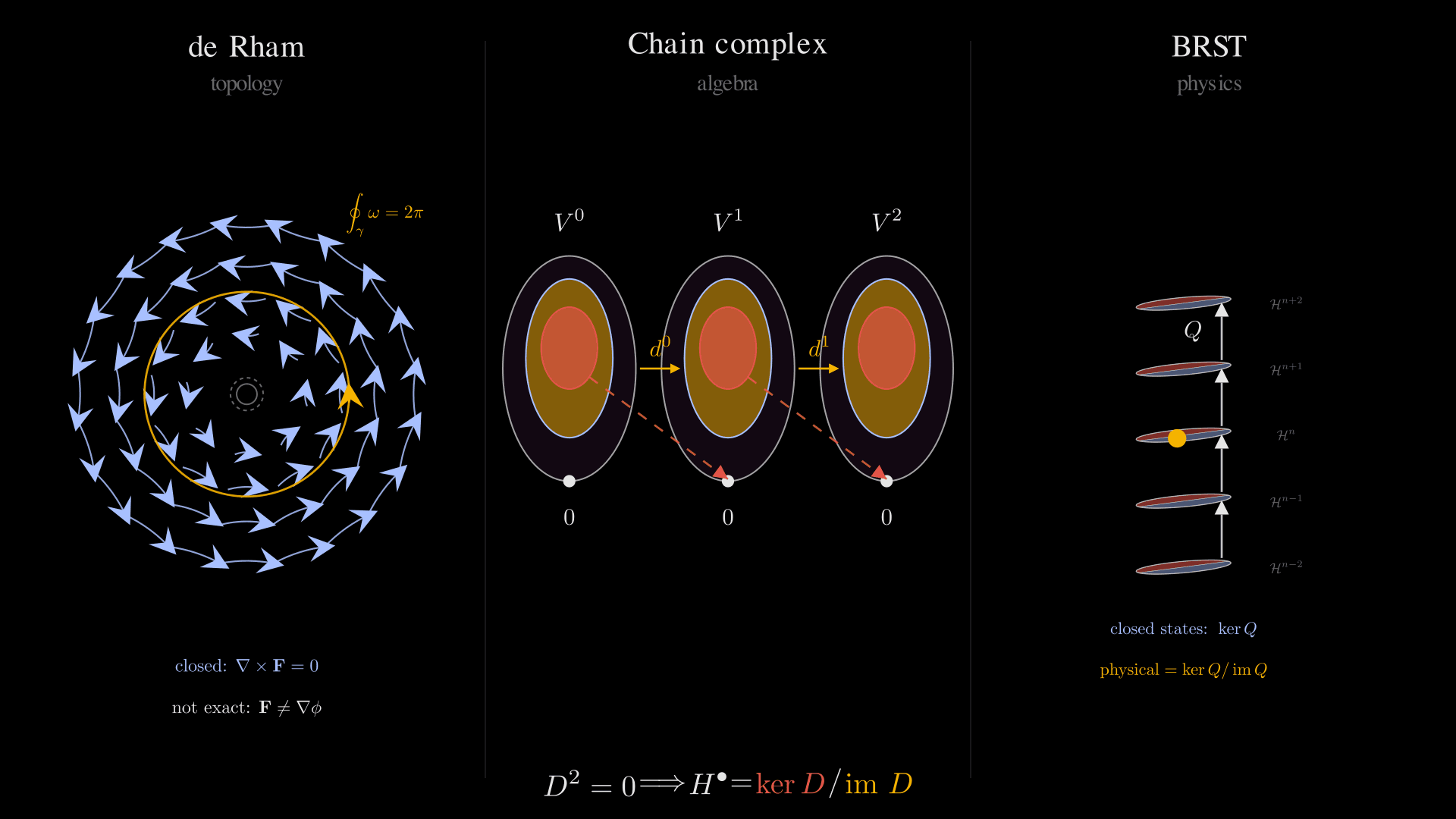 A three-panel figure on a black background illustrating the universal kernel-mod-image pattern. Left panel ('de Rham, topology'): a punctured plane with a dense field of pale-blue curved arrows circulating counter-clockwise around a small dashed-circle puncture at the centre, with an amber loop integral $\\oint_\\gamma \\omega = 2\\pi$ and the labels 'closed: $\\nabla \\times \\mathbf{F} = 0$' and 'not exact: $\\mathbf{F} \\neq \\nabla \\phi$'. Centre panel ('Chain complex, algebra'): three vertical columns labelled $V^0$, $V^1$, $V^2$, each drawn as three nested ovals — outer purple ambient space, gold annulus for the cycles $\\ker d^i$, red interior disk for the boundaries $\\im d^{i-1}$ — with golden horizontal arrows $d^0$ and $d^1$ running from each purple ambient out to the gold kernel of the next column, dashed red diagonals from each red interior down to the basepoint dot of the next column (encoding $d^{i+1}\\circ d^i = 0$), and a small dot with a '0' label hanging from the bottom of each column. Right panel ('BRST, physics'): five elliptical graded subspaces $\\mathcal{H}^{n-2}, \\ldots, \\mathcal{H}^{n+2}$ stacked vertically in a 3D-shaded ladder, each disk split into a pale-blue upper half (closed states $\\ker Q$) and a red lower half (exact states $\\im Q$), a single amber dot in the upper half of the middle disk, and four upward $Q$-arrows climbing the back edge; annotations below read 'closed states: $\\ker Q$' (blue) and 'physical = $\\ker Q / \\im Q$' (gold). Bottom unifier banner spans the figure: $D^2 = 0 \\implies H^\\bullet = \\ker D / \\im D$, with $H^\\bullet$ in white, $\\ker D$ in red, $\\im D$ in gold.