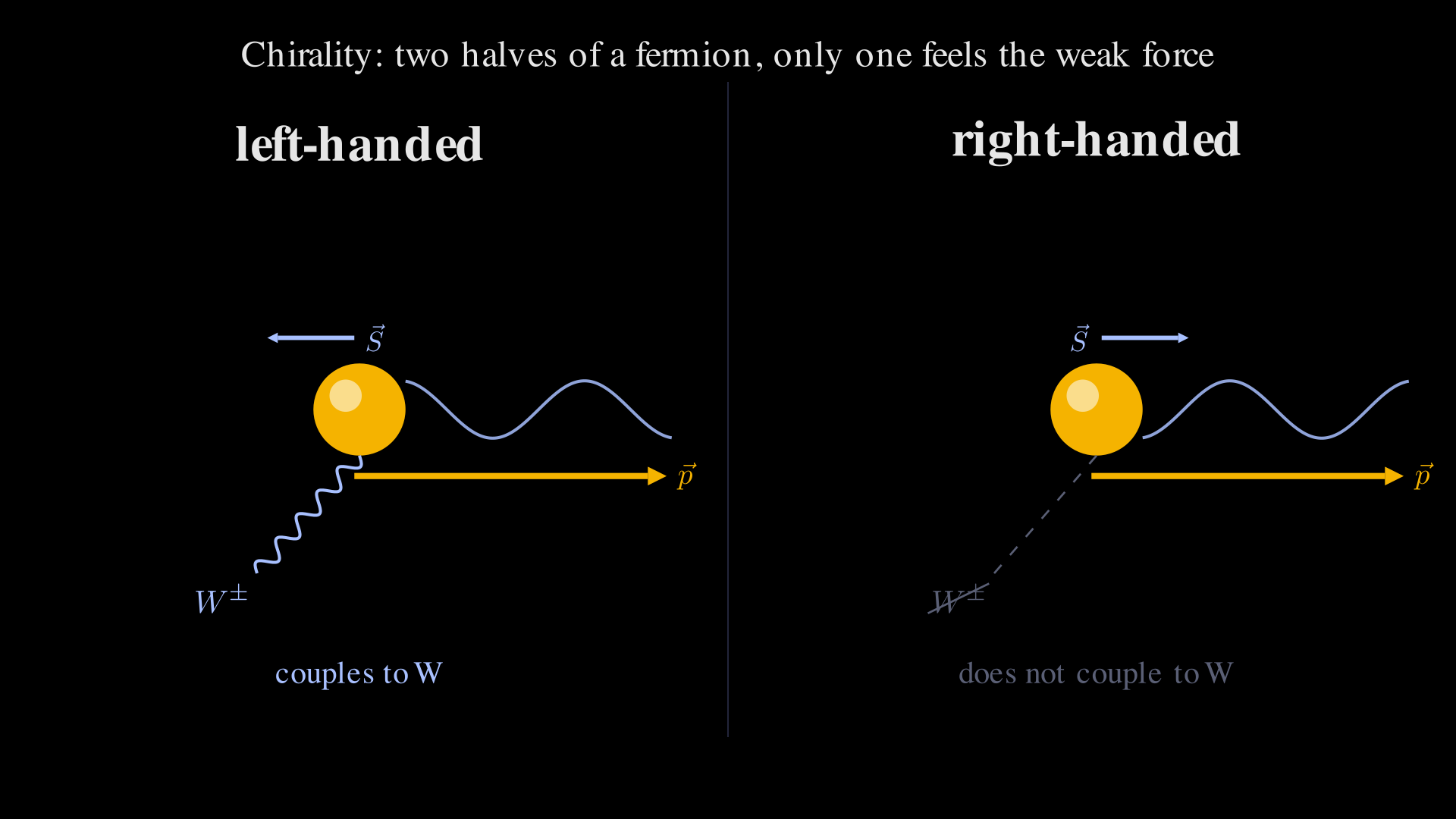 Two side-by-side panels each showing a 3D-shaded amber sphere with a long amber momentum arrow extending to the right. A sine-wave helix winds along the momentum axis, with opposite handedness in the two panels. A short cool-blue spin arrow sits above each particle: in the left panel (labelled 'left-handed') the spin arrow points to the LEFT — anti-parallel to momentum — and a wavy cool-blue line emerges from the particle ending in a 'W' boson glyph, indicating the particle couples to the weak force. In the right panel (labelled 'right-handed') the spin arrow points to the RIGHT — parallel to momentum — and the W-coupling line is dashed grey with a struck-through W, indicating no coupling. Sub-captions read 'couples to W' and 'does not couple to W'.